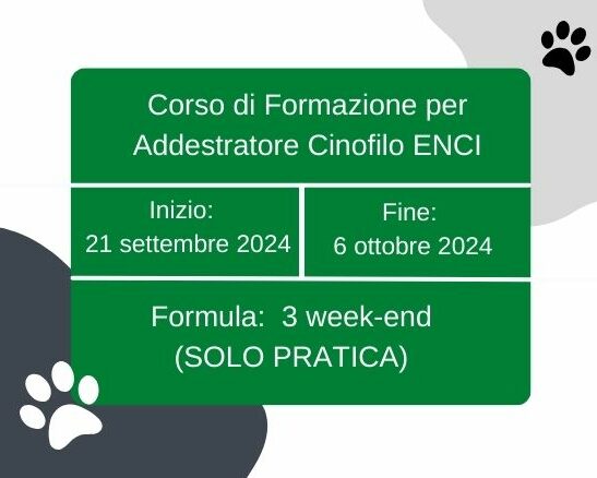sito Corso CEF Giugno 2024